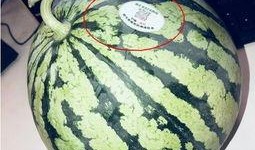 网红吃瓜集合,揭秘娱乐圈幕后故事